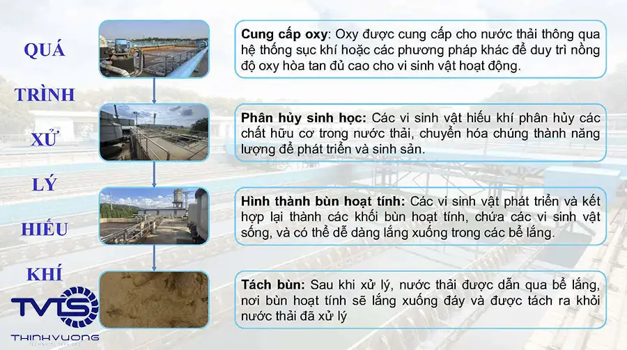 Sản phẩm và công nghệ